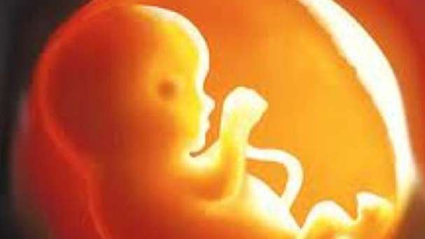 ಮಹಾರಾಷ್ಟ್ರದಲ್ಲಿ 19 ಹೆಣ್ಣು ಭ್ರೂಣಗಳ ಪತ್ತೆ!